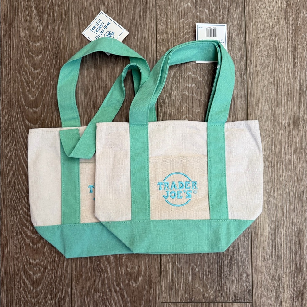 Mini Trader Joe's Canvas Tote in Mint Green and Cream